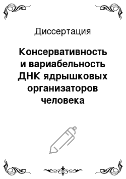 Диссертация: Консервативность и вариабельность ДНК ядрышковых организаторов человека