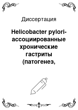 Диссертация: Helicobacter pylori-ассоциированные хронические гастриты (патогенез, возможности дифференцированной терапии)