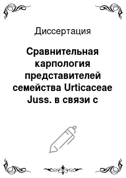 Диссертация: Сравнительная карпология представителей семейства Urticaceae Juss. в связи с вопросами их систематики и филогении