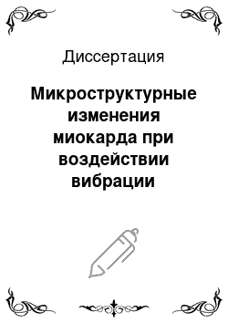 Диссертация: Микроструктурные изменения миокарда при воздействии вибрации