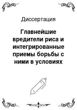 Диссертация: Главнейшие вредители риса и интегрированные приемы борьбы с ними в условиях Вьетнама