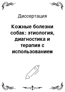 Диссертация: Кожные болезни собак: этиология, диагностика и терапия с использованием препаратов хитозана