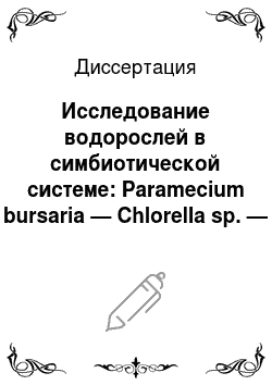 Диссертация: Исследование водорослей в симбиотической системе: Paramecium bursaria — Chlorella sp. — вирус PBCV: Сем. Phycodnaviridae