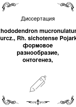 Диссертация: Rhododendron mucronulatum Turcz., Rh. sichotense Pojark: формовое разнообразие, онтогенез, культура