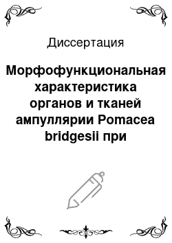 Диссертация: Морфофункциональная характеристика органов и тканей ампуллярии Pomacea bridgesii при промышленном выращивании