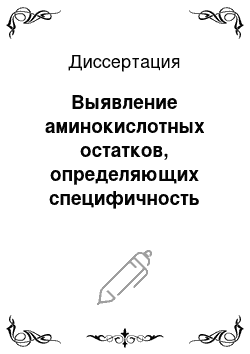 Диссертация: Выявление аминокислотных остатков, определяющих специфичность ферментов семейств альфа-бета гидролаз и пенициллин-связывающих белков, методами биоинформатического анализа