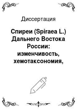 Диссертация: Спиреи (Spiraea L.) Дальнего Востока России: изменчивость, хемотаксономия, использование