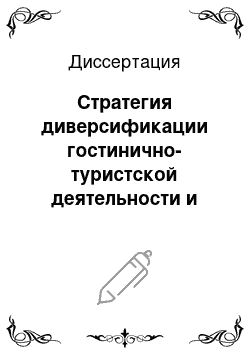 Диссертация: Стратегия диверсификации гостинично-туристской деятельности и методы оценки эффективности инвестиционных проектов