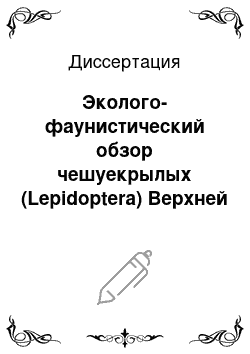 Диссертация: Эколого-фаунистический обзор чешуекрылых (Lepidoptera) Верхней Волги