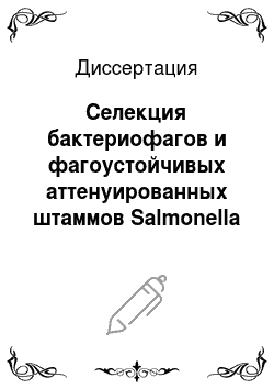 Диссертация: Селекция бактериофагов и фагоустойчивых аттенуированных штаммов Salmonella typhimurium для производства лечебно-профилактического препарата против сальмонеллеза кур