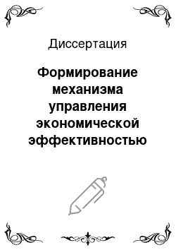 Диссертация: Формирование механизма управления экономической эффективностью организации