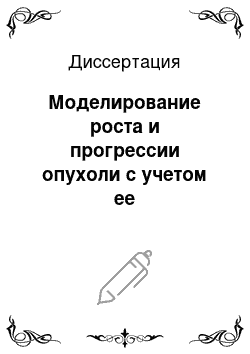 Диссертация: Моделирование роста и прогрессии опухоли с учетом ее пролиферативной и пространственной гетерогенности