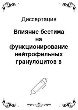 Диссертация: Влияние бестима на функционирование нейтрофильных гранулоцитов в эксперименте