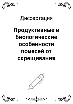 Диссертация: Продуктивные и биологические особенности помесей от скрещивания тонкорунных-грубошерстных маток с мясо-шерстными баранами