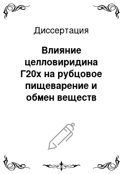 Диссертация: Влияние целловиридина Г20х на рубцовое пищеварение и обмен веществ молодняка мясного скота при разном типе кормления