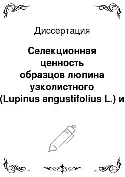 Диссертация: Селекционная ценность образцов люпина узколистного (Lupinus angustifolius L.) и желтого (L. luteus L.) в условиях Псковской области