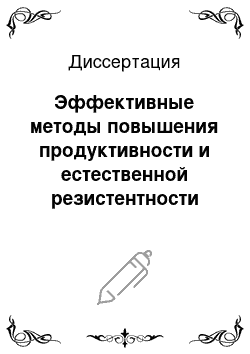 Диссертация: Эффективные методы повышения продуктивности и естественной резистентности мясной птицы