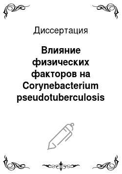 Диссертация: Влияние физических факторов на Corynebacterium pseudotuberculosis