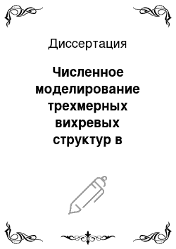 Диссертация: Численное моделирование трехмерных вихревых структур в конвективных потоках