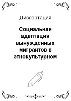 Диссертация: Социальная адаптация вынужденных мигрантов в этнокультурном пространстве Республики Северная Осетия-Алания