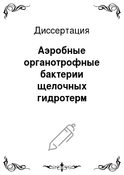 Диссертация: Аэробные органотрофные бактерии щелочных гидротерм Байкальского региона