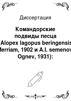 Диссертация: Командорские подвиды песца (Alopex lagopus beringensis Merriam, 1902 и A.l. semenovi Ognev, 1931): Особенности островных популяций