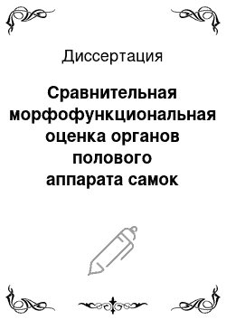 Диссертация: Сравнительная морфофункциональная оценка органов полового аппарата самок норок при применении селенсодержащих препаратов