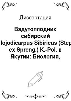 Диссертация: Вздутоплодник сибирский Phlojodicarpus Sibiricus (Steph. ex Spreng.) K.-Pol. в Якутии: Биология, интродукция, охрана