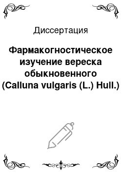 Диссертация: Фармакогностическое изучение вереска обыкновенного (Calluna vulgaris (L.) Hull.)