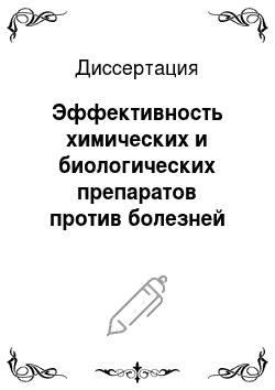 Диссертация: Эффективность химических и биологических препаратов против болезней ярового ячменя в Кемеровской области