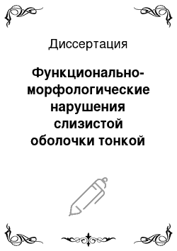 Диссертация: Функционально-морфологические нарушения слизистой оболочки тонкой кишки после острой смертельной кровопотери