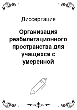 Диссертация: Организация реабилитационного пространства для учащихся с умеренной умственной отсталостью в условиях школы VIII вида