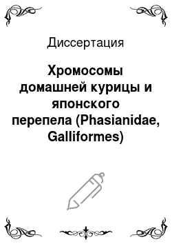 Диссертация: Хромосомы домашней курицы и японского перепела (Phasianidae, Galliformes)