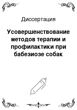 Диссертация: Усовершенствование методов терапии и профилактики при бабезиозе собак