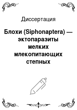 Диссертация: Блохи (Siphonaptera) — эктопаразиты мелких млекопитающих степных ландшафтов Оренбургской области