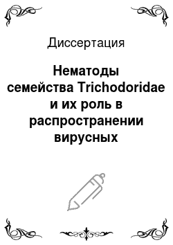 Диссертация: Нематоды семейства Trichodoridae и их роль в распространении вирусных болезней на картофеле в Московской области