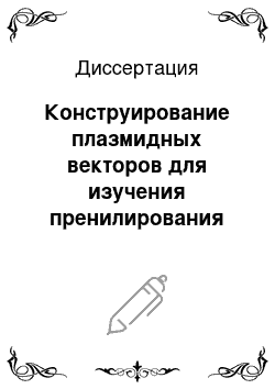 Диссертация: Конструирование плазмидных векторов для изучения пренилирования белков возбудителя туляремии