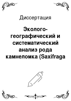 Диссертация: Эколого-географический и систематический анализ рода камнеломка (Saxifraga L.) флоры Северного Кавказа