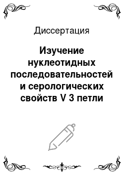 Диссертация: Изучение нуклеотидных последовательностей и серологических свойств V 3 петли ВИЧ-I на материале из Санкт-Петербурга и Украины