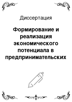 Диссертация: Формирование и реализация экономического потенциала в предпринимательских структурах