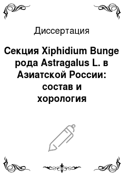 Диссертация: Секция Xiphidium Bunge рода Astragalus L. в Азиатской России: состав и хорология