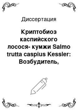 Диссертация: Криптобиоз каспийского лосося-кумжи Salmo trutta caspius Kessler: Возбудитель, эпизоотология, меры борьбы