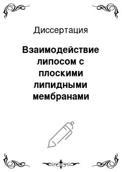 Диссертация: Взаимодействие липосом с плоскими липидными мембранами