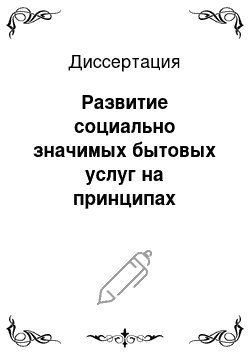 Диссертация: Развитие социально значимых бытовых услуг на принципах государственно-частного партнерства в регионе