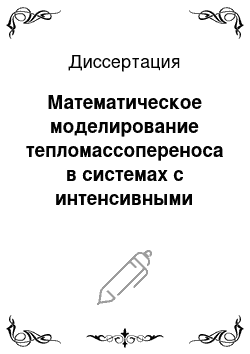 Диссертация: Математическое моделирование тепломассопереноса в системах с интенсивными физико-химическими превращениями и структурной неоднородностью