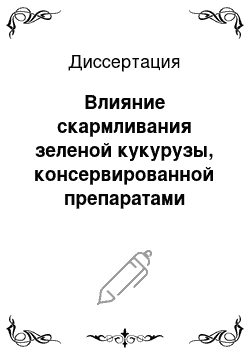 Диссертация: Влияние скармливания зеленой кукурузы, консервированной препаратами «Наири», на биохимические показатели и продуктивность крупного рогатого скота