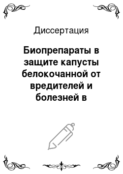 Диссертация: Биопрепараты в защите капусты белокочанной от вредителей и болезней в условиях Красноярской лесостепи