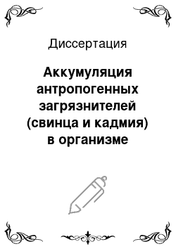 Диссертация: Аккумуляция антропогенных загрязнителей (свинца и кадмия) в организме цыплят-бройлеров на фоне применения рациона с повышенным содержанием витамина D3