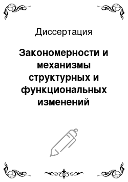 Диссертация: Закономерности и механизмы структурных и функциональных изменений позвоночника, органов грудной клетки, брюшной полости при сколиотической болезни (диагностика и лечение)