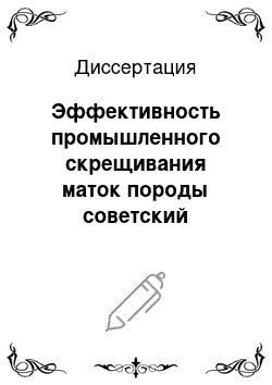 Диссертация: Эффективность промышленного скрещивания маток породы советский меринос с куйбышевскими баранами в условиях Среднего Поволжья